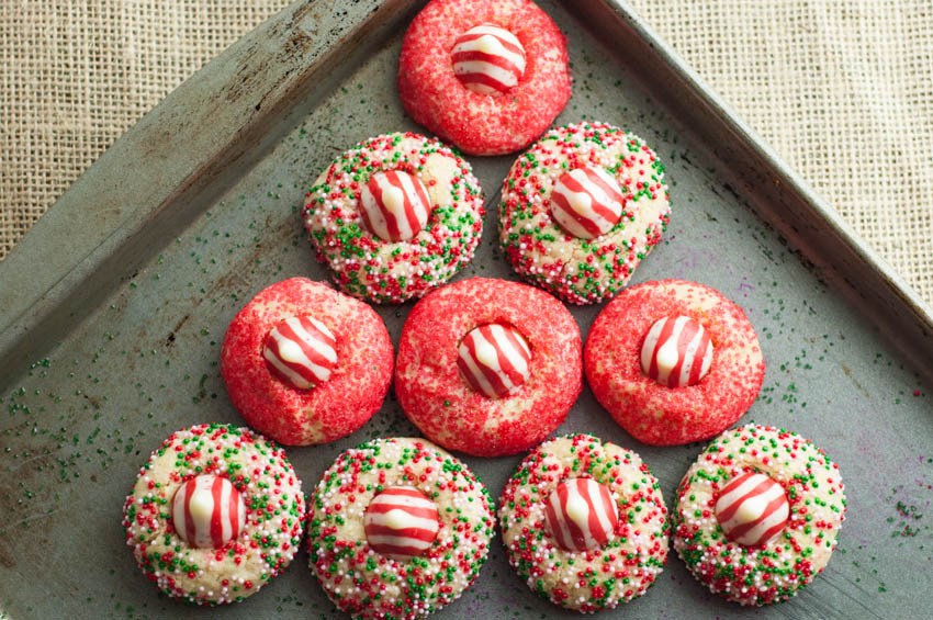 Candy Cane Christmas Cookies | Thrifty Below